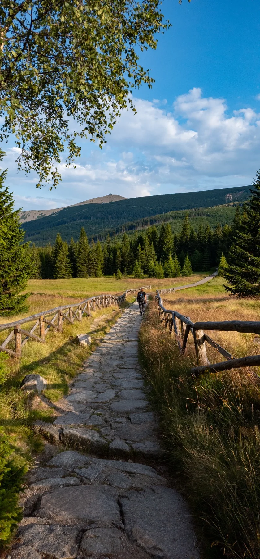 Górski szlak w Karkonoszach